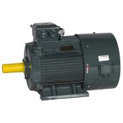 選用變頻電動機(jī)細(xì)致情況